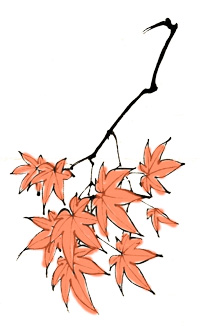 紅葉