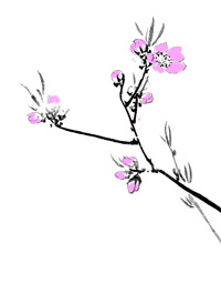 桃