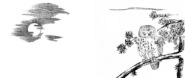 梟